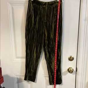 Velvet Pants